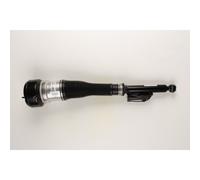 Ammortizzatore pneumatico Assale posteriore Dx Occhiello inferiore 44-109486