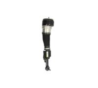 Puntone per sospensione pneumatica BILSTEIN - B4 OE Replacement (Air) BILSTEIN 44-110482 sinistro