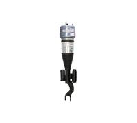 Puntone per sospensione pneumatica BILSTEIN - B4 OE Replacement (Air) BILSTEIN 44-289294 sinistro