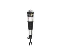 Puntone per sospensione pneumatica MAGNUM TECHNOLOGY APA001MT