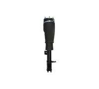 Magnum Technology APL017MT Ammortizzatore pneumatico