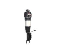 Puntone per sospensione pneumatica MAGNUM TECHNOLOGY APM003MT