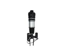 Ammortizzatore pneumatico anteriore Sx Ponte superiore APM016MT