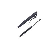 Puntone portellone 1551488-99-B compatibile con il modello 3 2021 2022 2023