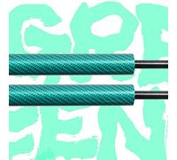 Puntone sollevamento cofano Hood Ammortizzatore Gas Strut Ascensore Supporto Cofano Anteriore Molla A Gas Ammortizzatore Per Hyundai Per I10 Per AC3 2019-2023