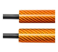 Puntone sollevamento cofano Hood Cofano Struts Cilindri Supporto Sollevamento Ammortizzatore Molla A Gas Pistone Per Changan Per CS55 Per Plus Per II 2021 2022 2023 2024