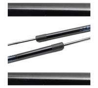 Puntoni A Gas Per Cofano Per Toyota Per Corolla E120 E130 9th 2000-2007 Cofano Anteriore Cilindri Modifica Ammortizzatori A Gas Supporto Sollevamento Pistoni Asta(Normal black)