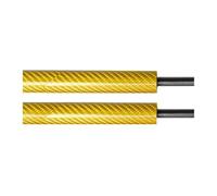 Puntoni Cofano Supporti Sollevamento Coperchio Anteriore Modifica Ammortizzatore Molla Gas No-Drill Per Hyundai Per Elantra AD 6th Supporto baule posteriore Asta idraulica