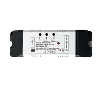 Punxasl Controller attuatore lineare elettrico Wifi, interruttore relè intelligente DC 12V 24V DC 2 canali per motore DC
