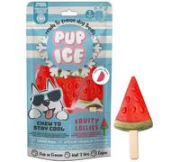 Snack per cani Gelato pronto all'uso Pup Ice 90 gr Anguria- Fruity Lollies - 1° ORDINE? scegli lo sconto BZR5 / BZR20 + 200 punti fedeltà