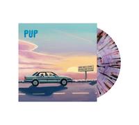 who will look after the dogs? (purple smoke/orange/pink splatter vinyl) (indies)