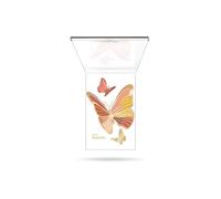 Pupa Pupa Butterfly N. 002