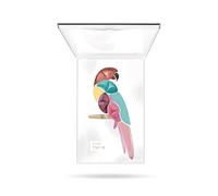 Pupa tr parrot bahia 002