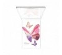 Pupa Pupa Butterfly N. 003