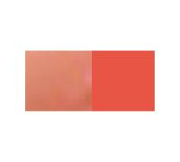 Pupa Vamp! Marker Duo 009 Jelly Coral 4 ml - Lucidalabbra