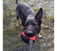 Pupazzo Per Cani Giocattolo Resistente Ai Morsi Giocattoli Da Masticare Piccoli