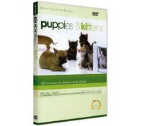 Puppies and kittens