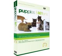 Puppies And Kittens [DVD] [Edizione: Regno Unito]
