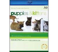 Puppies & Kittens