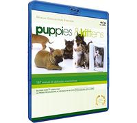 Puppies & Kittens