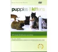 Puppies & Kittens