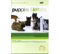 Puppies & Kittens