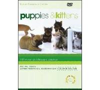 Puppies & Kittens