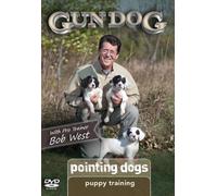 Puppy Training: Pointing Dogs