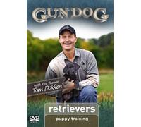 Puppy Training: Retrievers