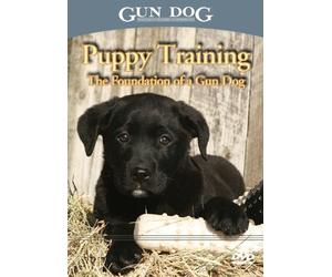Puppy Training: The Foundation of a Gun Dog DVD