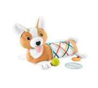 Fisher-Price HJW10 giocattolo educativo