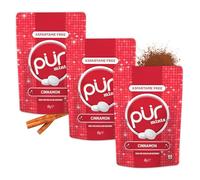 PUR Mints | Caramelle alla menta Senza Aspartame | Dolcificate con Xilitolo | Senza Zucchero, Vegane, Senza Glutine | Gusto Naturale Cannella | 65 Pezzi in Bustina Richiudibile (3 Confezione)