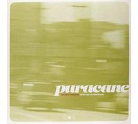 Puracane - Things We Should Leave Alone