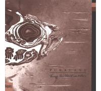 Puracane - Things You Should Leave Alone