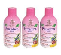 Puradren Plus Mirtillo Frutti Rossi 3x500 ml Soluzione orale