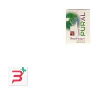 PURAL CHEWING GUM 14 G IGIENIZZANTE