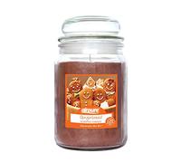 Pure Air Airpure - Candela profumata di pan di zenzero, 1 kg