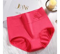 Pure Cotton Briefs Vita Alta Con Controllo Pancia Anti Perdita Slip Donna 3 Pack