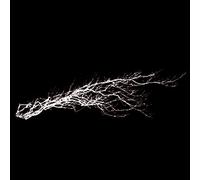 Pure Noise - Pure Noise