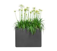 pure soft brick divider wheels 80 large anthracite elho