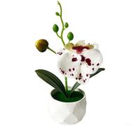 PureBowlic Orchidea artificiale Phalaenopsis in vaso di diamanti, 17 cm | Petali realistici, delicati per boccioli, realistici colori bianco, rosso, giallo, blu, non richiede manutenzione (bianco a