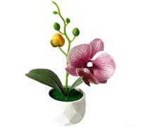 PureBowlic Orchidea artificiale Phalaenopsis in vaso di diamanti, 17 cm | Petali realistici, delicati per boccioli, realistici colori bianco, rosso, giallo, blu, nessuna manutenzione richiesta (viola