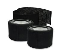 PUREBURG Confezione da 2 filtri HEPA di ricambio con 4 prefiltri in carbonio, compatibili con purificatore d'aria Soehnle Airfresh Clean 400