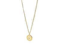 Purelei® Coin - Collana da uomo regolabile in acciaio inox con ciondolo e punzonatura a fantasia - placcato oro 18 carati o argento - gioielli da uomo discreti, Länge: 45-50 cm, Acciaio inossidabile