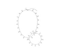 Purelei - Confident Collana e bracciale 100% acciaio inossidabile Set gioielli 1 pieces Grigio unisex