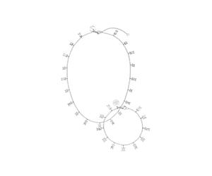 Purelei - Confident Collana e bracciale 100% acciaio inossidabile Set gioielli 1 pieces Grigio unisex