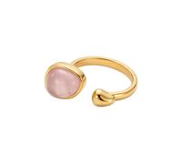 Purelei - Natural Grace Anello 100% acciaio inossidabile Anelli 1 pieces Marrone chiaro unisex