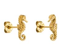 Purelei® Seahorse - Orecchini a lobo da donna (oro, argento, oro rosa), orecchini impermeabili a forma di cavalluccio marino in acciaio inox, regalo per donne, ca. 12,2 mm x 5,3 mm, Acciaio