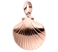 Purelei - Seashell Ciondolo 100% acciaio inossidabile Ciondoli e charms 1 pieces Marrone chiaro unisex