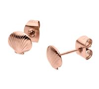 Purelei - Seashell Orecchini 100% acciaio inossidabile 1 pieces Marrone chiaro unisex